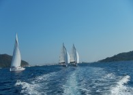DSCN0514.JPG