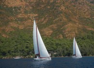 DSCN0556.JPG