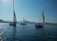 DSCN0585.JPG