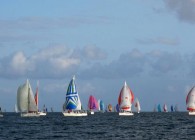 270539_517818518231095_632950153_n.jpg